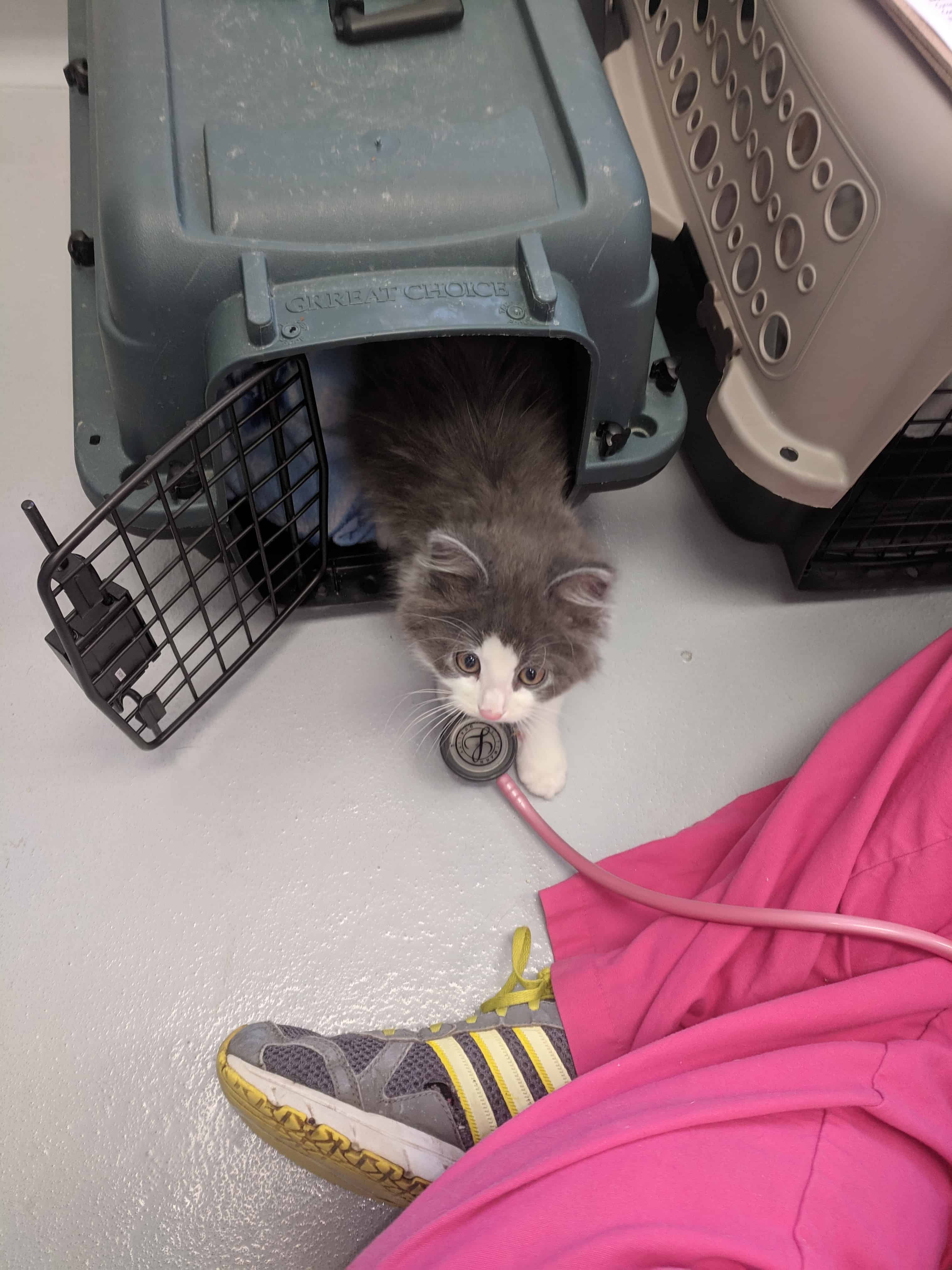 A patient at drop-off
