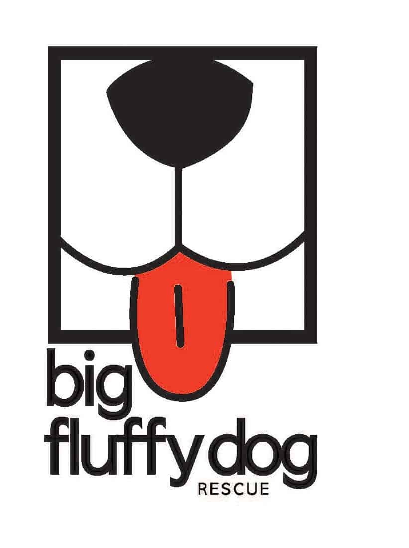 Big Fluffy Dog Rescue