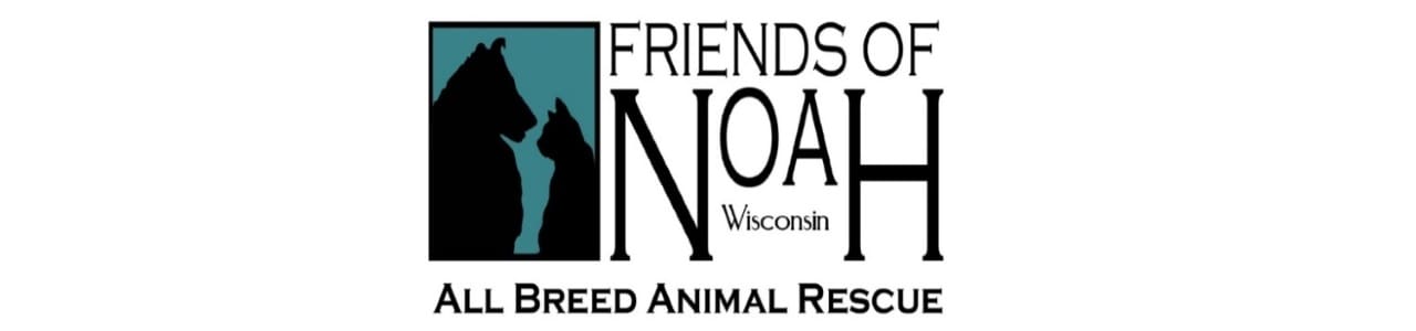Friends of Noah