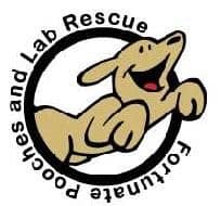 Fortunate Lab Rescue
