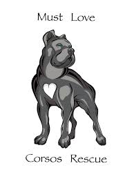 Must Love Corsos