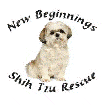 New Beginnings Shih Tzu Rescue