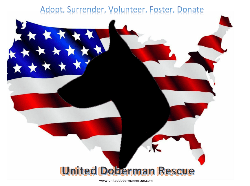 United Doberman Rescue