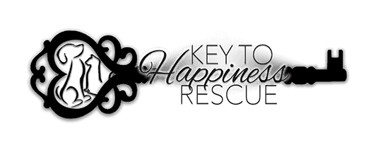Key to Happiness Rescue